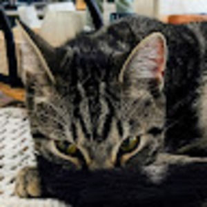 Meet your Posher, Tammy